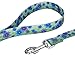 Country Brook Petz - Blue April Blossoms Deluxe Dog Collar and Leash Limited Edition - Spring Collection Featuring Springtime Designs (1/2 Inch, 2XS)