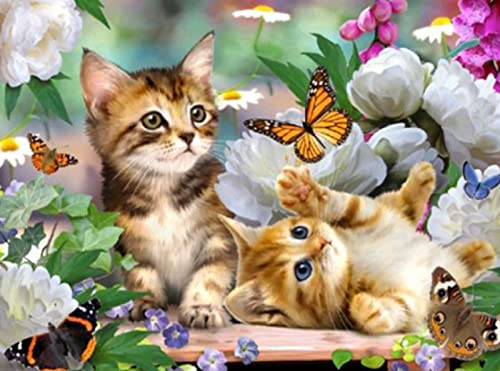 Kits Broderie Point de Croix Chaton Cadeau Noël Idéal Loisirs Créatifs