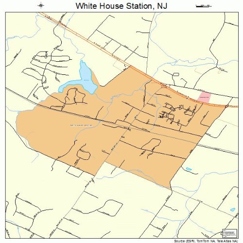 Large Street & Road Map of White House Station, New Jersey NJ Printed