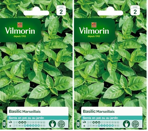 Vilmorin 5873246 Pack de Graines Basilic Marseillais Extrêmement Parfumé (Lot de 2)
