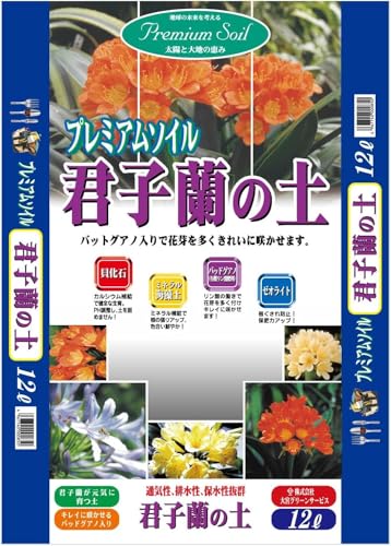 {O[T[rX v~A\C Nq̓y 12L