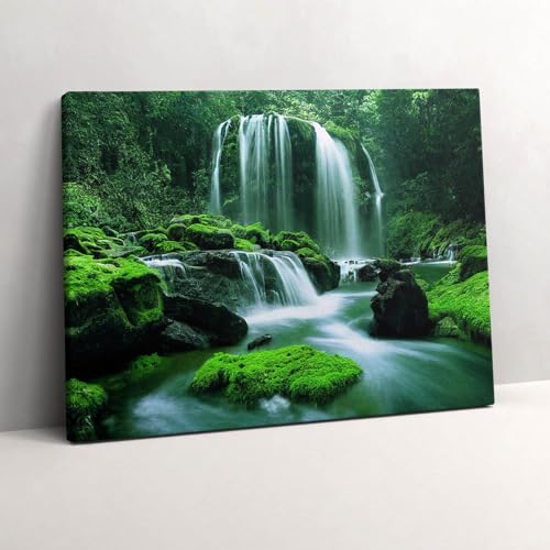 Toile cascade parmi la mousse dans votre bureau pour créer une ambiance zen naturelle