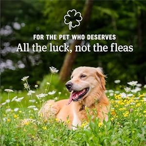 PetArmor CAPACTION (nitenpyram) Oral Flea Treatment for Dogs, Fast Acting Tablets Start Killing Fleas in 30 Minutes, Dogs 2-25 lbs, 6 Doses PetArmor CAPACTION nitenpyram Oral Flea Treatment for Dogs Fast Acting Tablets Start Killing Fleas in 30 Minutes Dogs 2 25 lbs 6 Doses