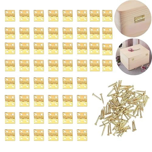 Charnière de porte en acier inoxydable 50pcs, mini micro charnière, 200 pièces charnière de meuble vis avec boîte anti-corrosion charnière invisible armoire...