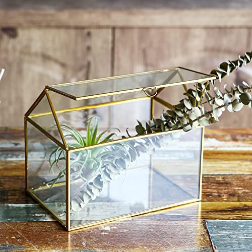 Vellon Golden Glass Box, Clear Gift Card Box For Reception, Large Plant Glass Terrarium For Foliage Succulent And Bonsai, Indoor Planter (Golden) #TOP2