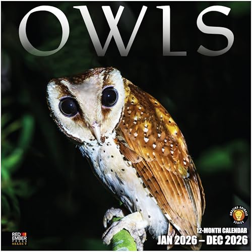 Owls 2026 Wall Calendar