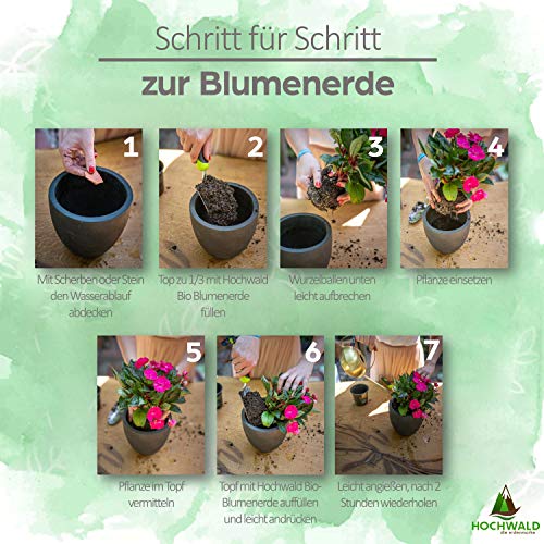 Blumenerde Hochwald Bio 20 Liter torffrei