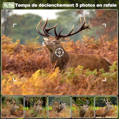 Caméra de chasse solaire 4K 64MP vision nocturne et application
