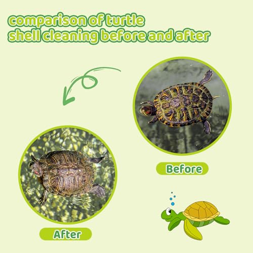 Image of 2pcs Turtle Brush with Suction Cup, Tortoise Shell Cleaning Scrub, Pet Back Mud Bristle Cleaner, Exfoliate Scrubber Scratcher, Aquatic Aquarium Tank Toy Accessories, Kitchen Sink Wine Bottle Glass