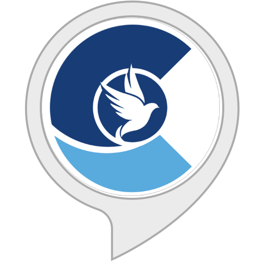 Amazon.in Comforter Radio Alexa Skills