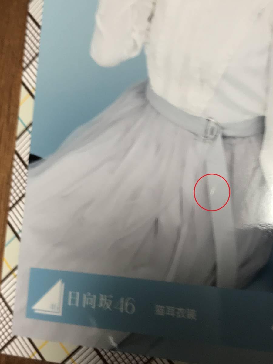 Amazon.co.jp: 日向坂46 小坂菜緒 猫耳衣装 生写真 スワリ 1枚 わずか