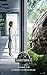 Jurassic World (2015) Movie Poster 24 x 36" Inches , Glossy Finish (Thick): Chris Pratt, Bryce Howard Dallas