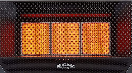 Bluegrass Living Natural Gas Vent Free Infrared Gas Space Heater With Blower And Base Feet - 30,000 Btu, T-Stat Control - Model# B30Tnir-Bb, Black #TOP4