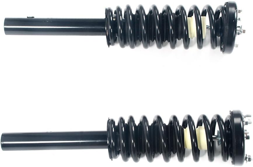 Front Struts Assembly w/Coil Springs Shock Absorbers Replacement for Honda Accord 2003 2004 2005 2006 2007 172123L-172123R (Set of 2)