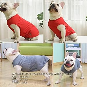 Dog Blank Quick Dry Shirtslightweight Stretchy Summer Solid Dogs Cats Clothessleeveless Cool Sweater for Small Boy Girl Breedredgreyxs  Cucciolini Doodles Dog blank quick dry shirtslightweight stretchy summer solid dogs cats clothessleeveless cool sweater for small boy girl breedredgreyxs   cucciolini doodles