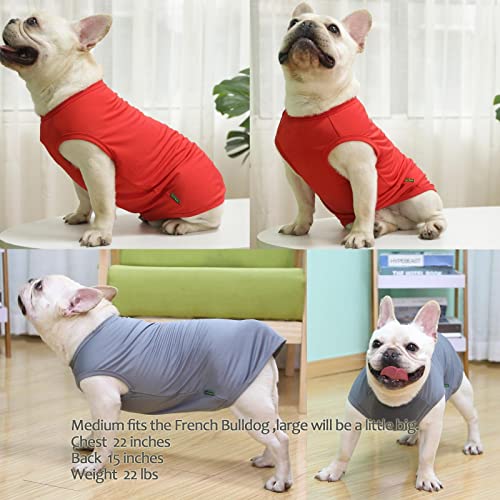 Dog Blank Quick Dry Shirtslightweight Stretchy Summer Solid Dogs Cats Clothessleeveless Cool Sweater for Small Boy Girl Breedredgreyxs  Cucciolini Doodles Dog blank quick dry shirtslightweight stretchy summer solid dogs cats clothessleeveless cool sweater for small boy girl breedredgreyxs   cucciolini doodles