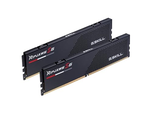 G.SKILL Ripjaws Serie S5 64GB (2 x 32GB) 288 pines PC RAM DDR5 6000 (PC5 48000) Modelo de memoria de escritorio F5-6000J3040G32GX2-RS5K