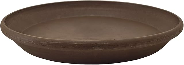 PSW AP25C Single Saucer, 10-Inch, Chocolate