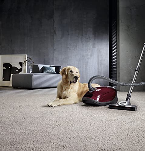 Miele - Aspirateur Complete C3 Cat & Dog PowerLine Rouge Framboise 4.5 Litre 890 Watt - 10653390 - Image 8