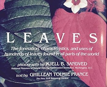 Unknown Binding Leaves: The Formation, Characteristics, and Uses of Hundreds of Leaves Found in Book