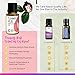 Rocky Mountain Oils Tummy Rub Essential Oil Blend with Essential Oils for Diffuser and Topical - Digestive Oil, Essential Oil - 15ml