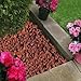 TODOSTONES Piedra Volcánica roja (10/25mm) para decoración jardín o macetas, Adorno de arboles cantidad (10L)