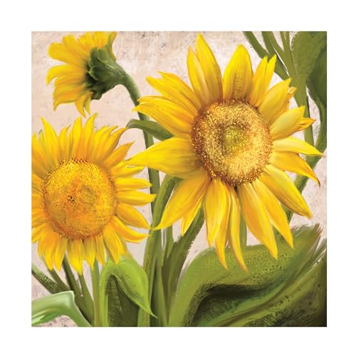 Trademark Fine Art 'Sunflower Surprise 2' Canvas Art by Anthony Christou