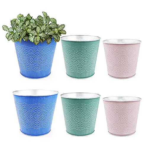 Macetas de Flores 6 piezas, Juego de Macetas de Flores, Canasta de Plantas, Recipiente de Metal con Estampado de Flores Retro para Plantas Jugosas de Diferentes Tamaños, 3 Tamaños y 2 Colores