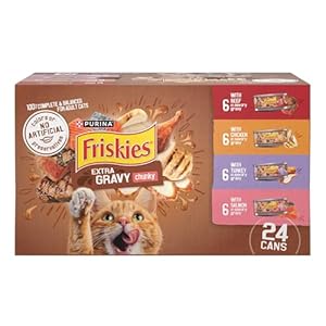 Purina Friskies Extra Gravy Wet Cat Food Chunky 24ct Variety Pack (With Chicken, Turkey, Salmon, Beef) – (Pack of 24) 5.5 oz. Cans