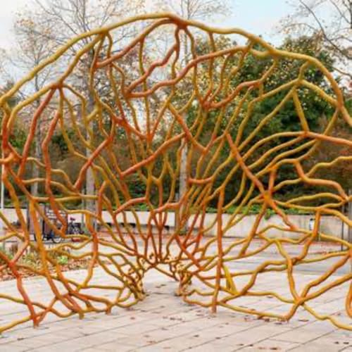 The Underground Tree