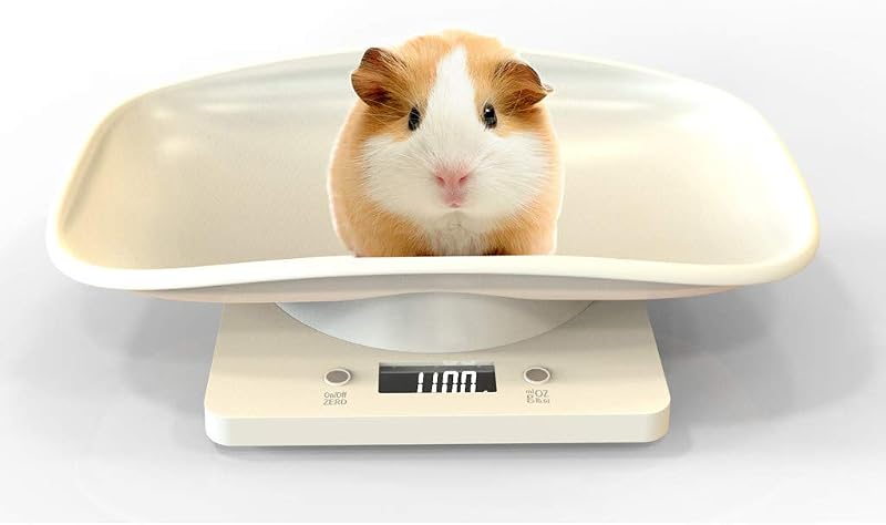 Aceshop digitális mérleg LCD kijelzővel, 4 mérési mód, háziállat és konyhai méréshez, 10kg kapacitás