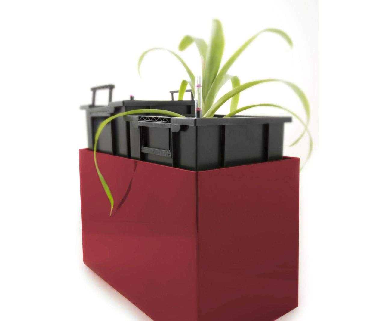 Auto-arrosage des pots de fleurs G21 Combi 56 cm rouge, l'arrosage des, pots de fleurs, des Accessoires de décoration Intérieure, Ménage