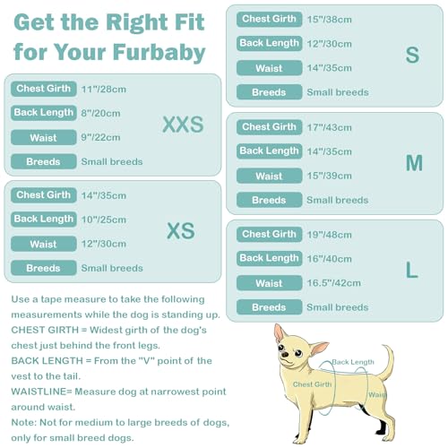 Image of CuteBone One Piece Dog Bikini Swimsuit Dress - Puppy Bathing Suit Costume for Small Dogs - Comfortable & Stylish Pet Clothes for Summer Pool, Beach & Play LTDB10XXS
