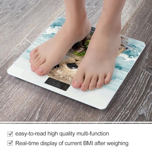 Báscula digital corporal con pantalla LCD y base antideslizante miniatura 5