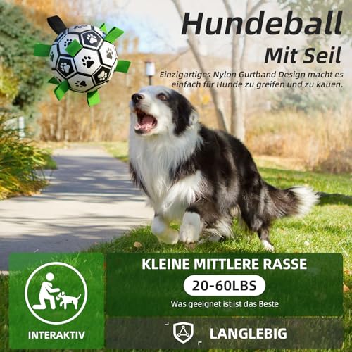 Boule pour chien avec poignée HETOO 15cm jouet interactif