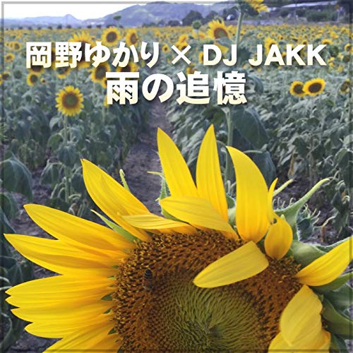 Car navigation is liar