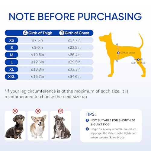 Image of Dog Knee Braces for Torn ACL Hind Leg, Adjustable Joint Brace Non-Slip | Double Leg Support with Vest,CCL Tear, Arthritis, Patella Luxating Recovery Cruciate Care for Small Medium Large Dog, L