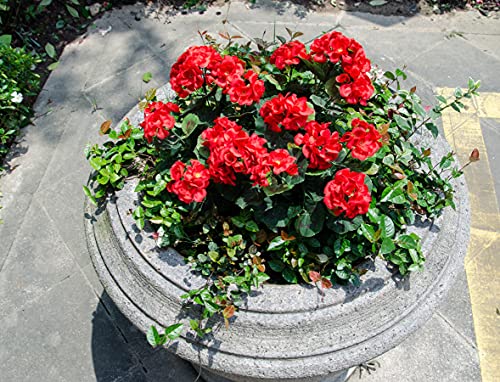 Mumiko 3Pcs Artificial Geranium Faux Silk Flower Outdoor Plant Bush Home Decors (Red) #TOP3