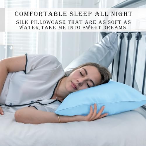 Silk Pillow Cases 2 Pack Soft Breathable and Sliky Standard Size Pillow Cases Set of 2,Natural Mulberry Satin Silk Pillowcase with Hidden Zipper for Hair and Skin (Sky Blue,20"X 26",2pcs)