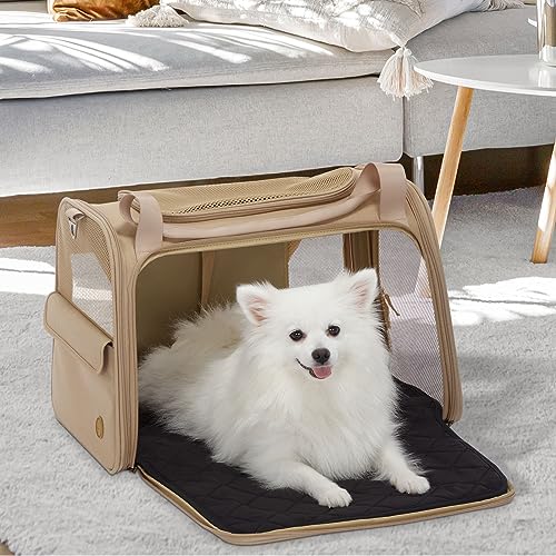 Petsfit Transportbox Katze Hund faltbar Transporttasche Hundetasche für Katzen Hunde, Hochwertige Tragetasche Hund Katze mit Schultergurt und weiches expandierbare Kissen,groß