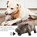Latex Pig Toys mit Grunzgeräusch, niedliches, bissfestes tragbares Schweinegrunzspielzeug mit Quietschgeräuschen für Hundewelpen(Schwarz)