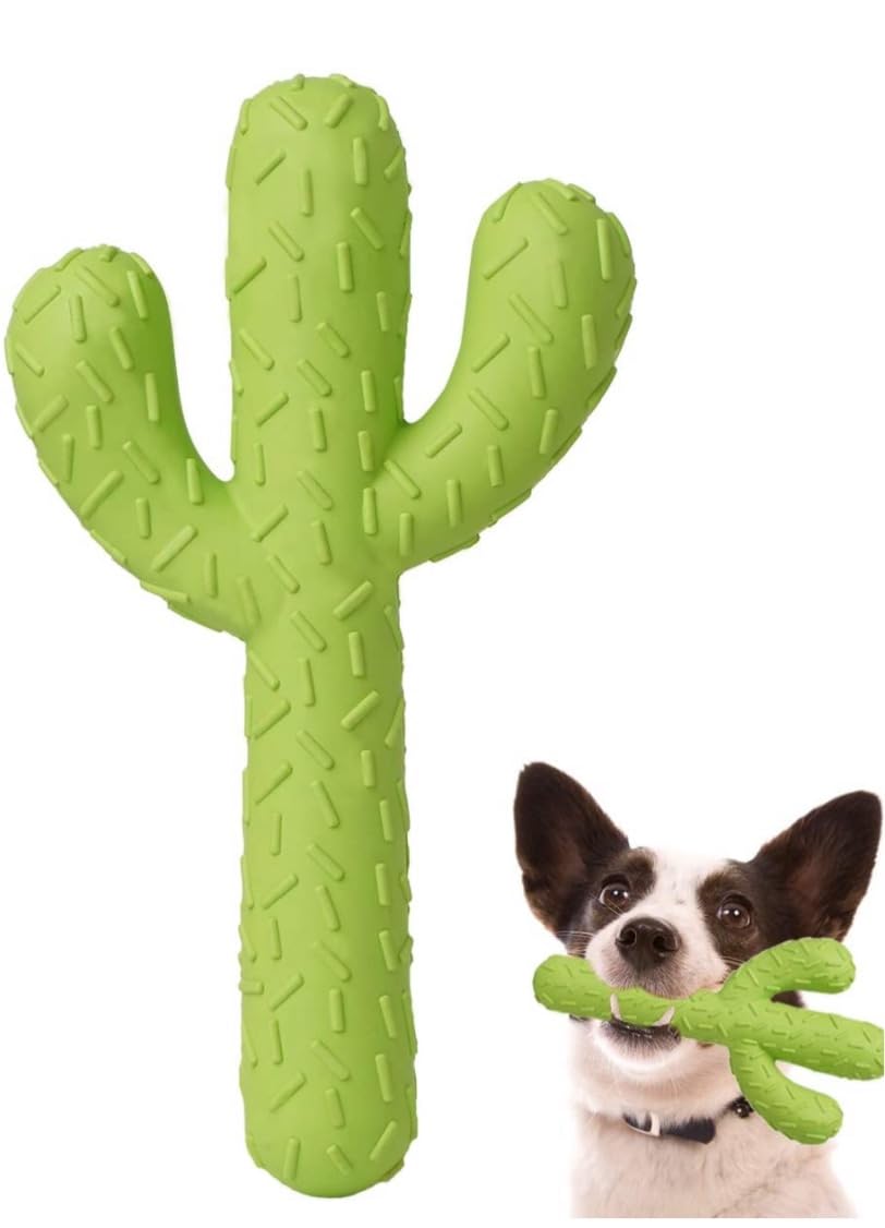 PerronautaCactus Chew Toy