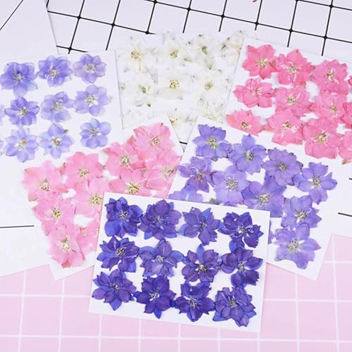 12 piezas flores secas prensadas para resin art miniatura 2