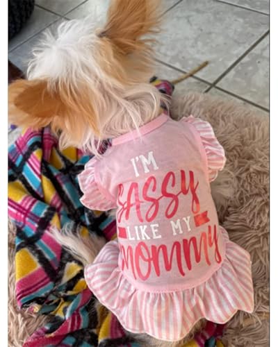 image for XPUDAC 4 Pieces Pet Dog Dress Dog Clothes Girl Puppy Shirt Yorkie Clot