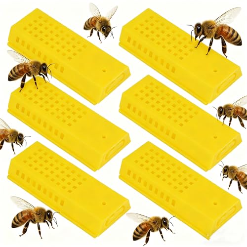 Jecdfs Jaula de Abeja Reina de Plástico - Set de 6 Jaulas para Cría y Transporte de Abejas Reina, Herramientas para Apicultores, Capturador de Abejas Reina, Tamaño 8 x 3,5 cm
