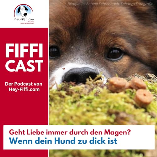 Geht Liebe immer durch den Magen? &ndash; Wenn dein Hund zu dick ist