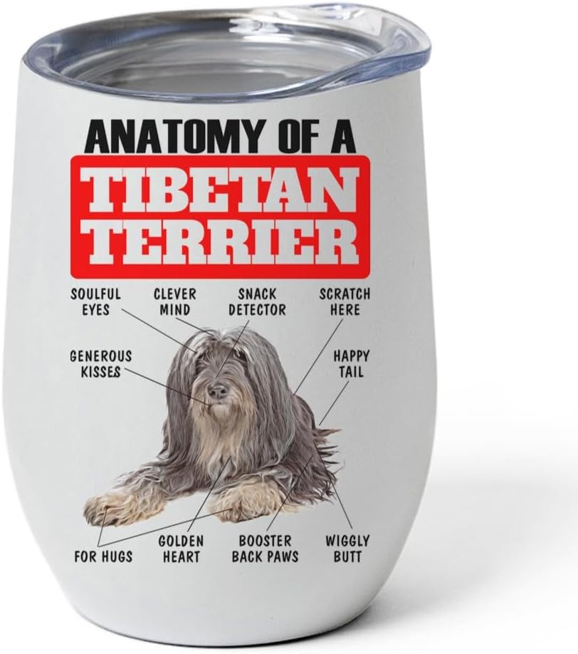 Grizzle Tan Tibetan Terrier Tumbler 12oz - Funny Anatomy Chart Design - Stainless Steel Vacuum Insulated Wine Cup With Lid - Gifts for Dog Lovers