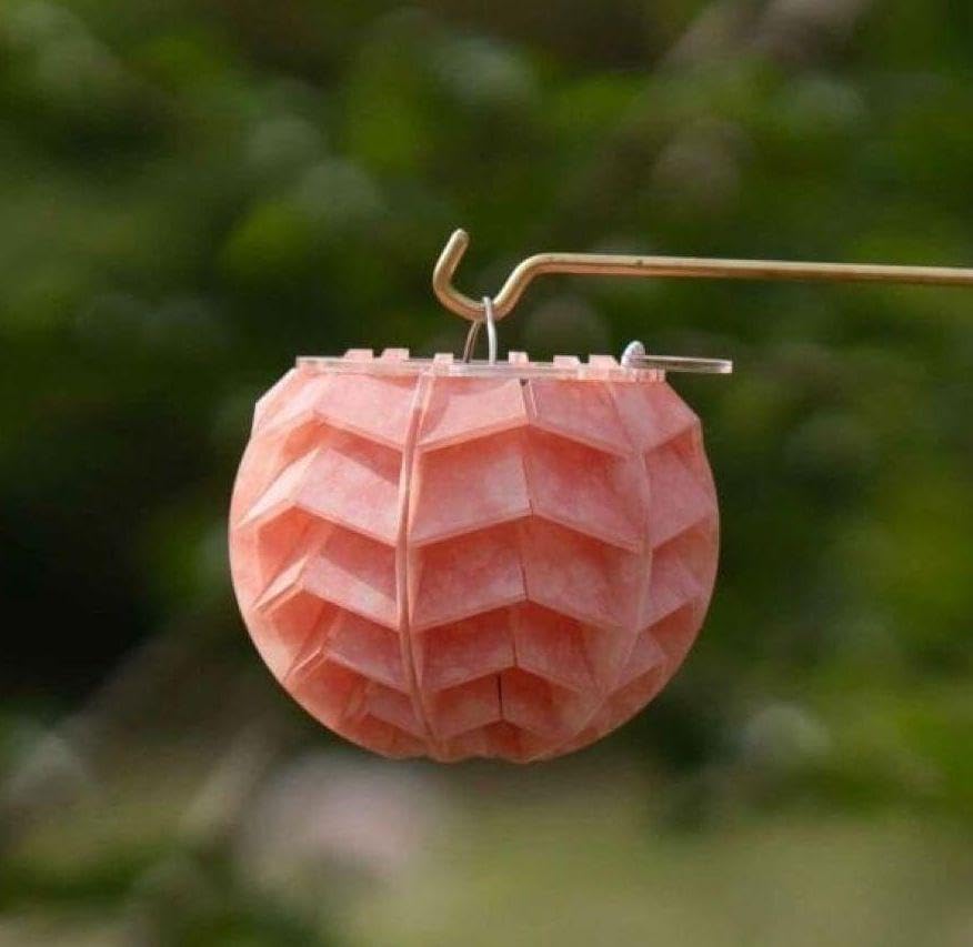 Amazon.co.jp: BELKROOT BOTAN ボタン ベルクロート さくら : おもちゃ 