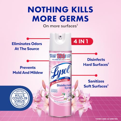 Image of Lysol Disinfectant Spray, Household Cleaning Supplies, Disinfecting Multi-Purpose Room Spray, Antibacterial Sanitizer, Deodorizer, Kills Hantavirus, Early Morning Breeze, 19 Fl Oz (Pack of 2)