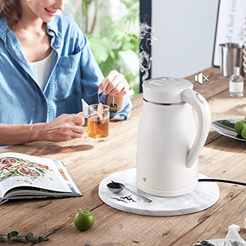 Bouilloire électrique acier inoxydable brossé double paroi premium
